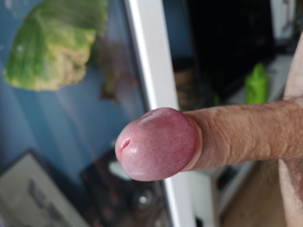 trazim izazovnu damu