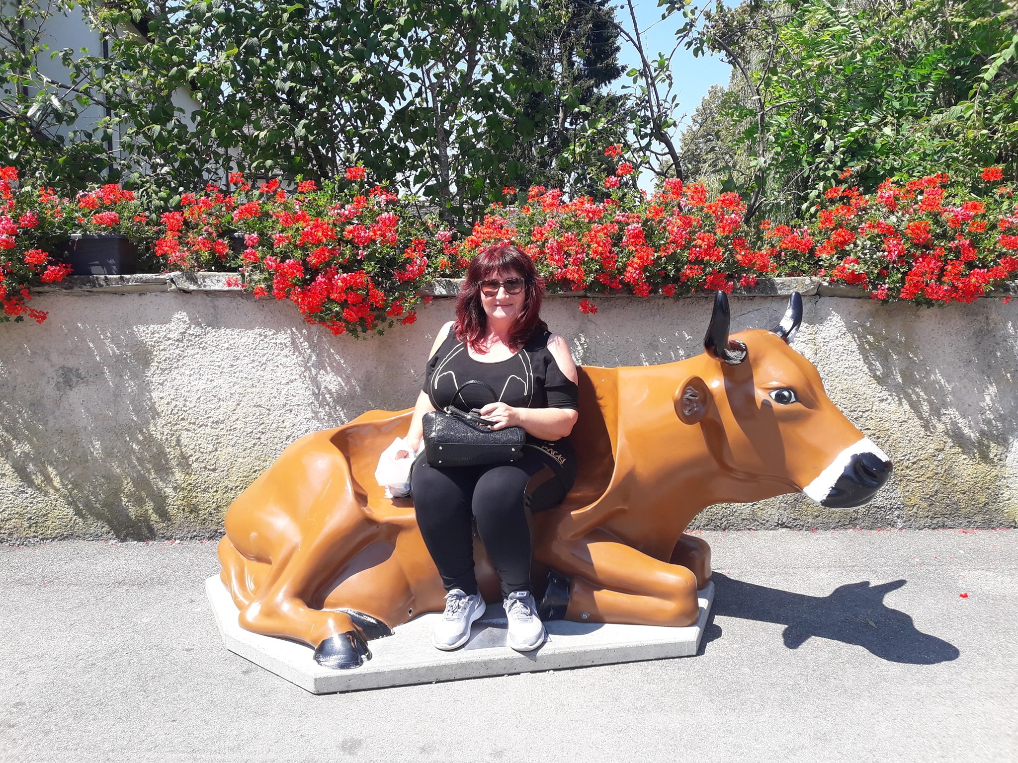 Svako ima pravo na srecu