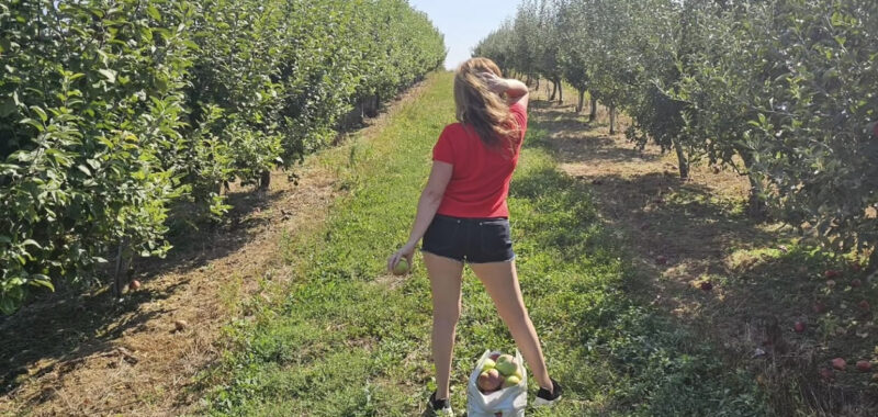 Učim svakog dana